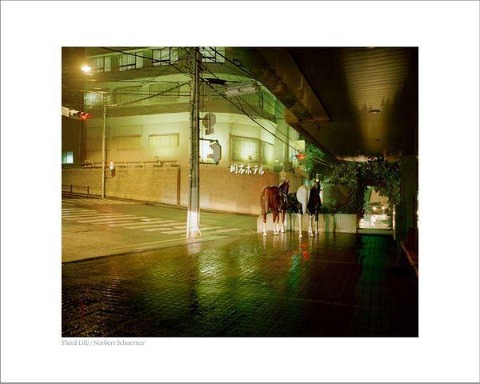 Norbert Schoerner: Third Life
