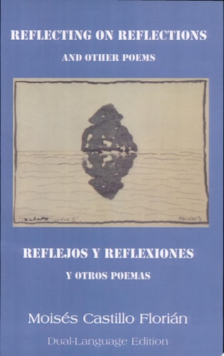 Reflecting on Reflections