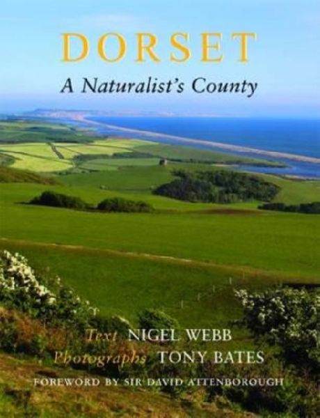 Dorset, a Naturalists County