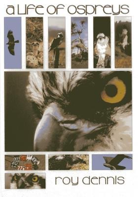 Life of Ospreys