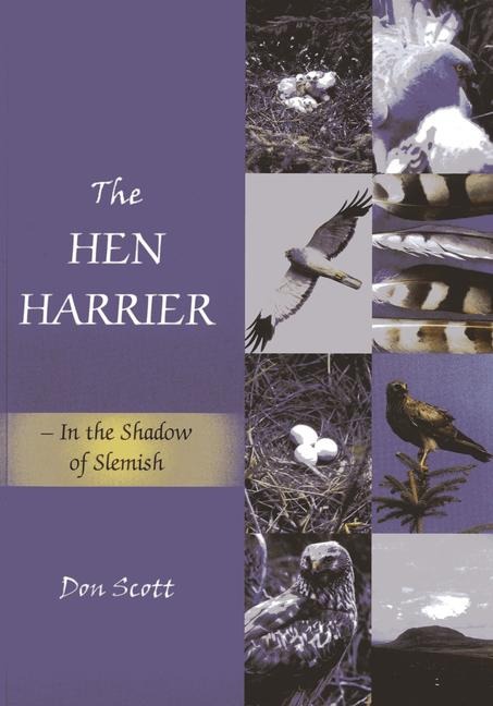 Hen Harrier: In the Shadow of Slemish