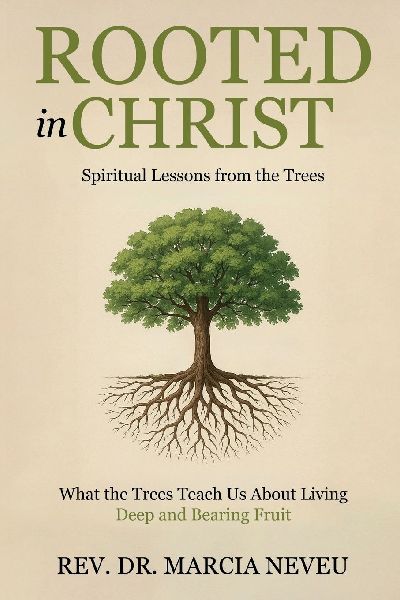 Rooted in Christ: Spiritual Lessons From the Trees
