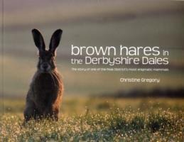 Brown Hares in the Derbyshire Dales: The Story of One of the Peak Districts Most Enigmatic Mammals