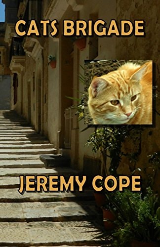 Cats Brigade The First Miss Licky Tale