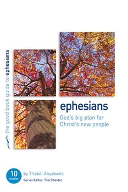 Ephesians: Gods Big Plan for Christs New People: 10 Studies for Individuals or Groups