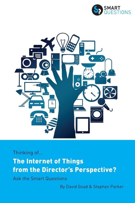 Thinking of... The Internet of Things from the Directors Perspective? Ask the Smart Questions