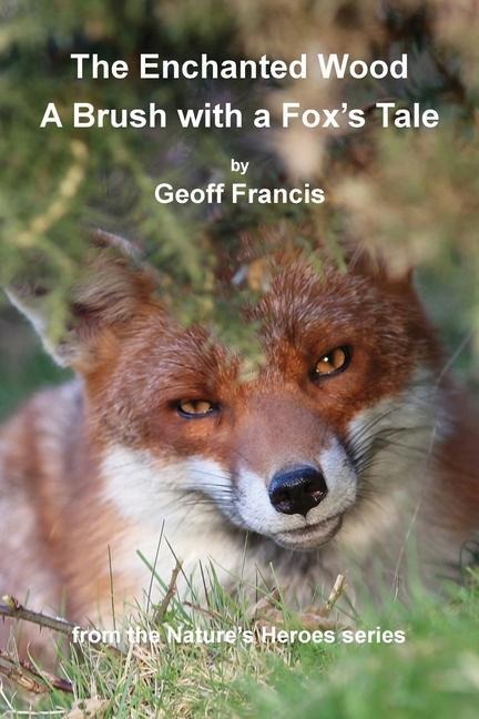 Enchanted Wood - Brush of a Foxs Tale
