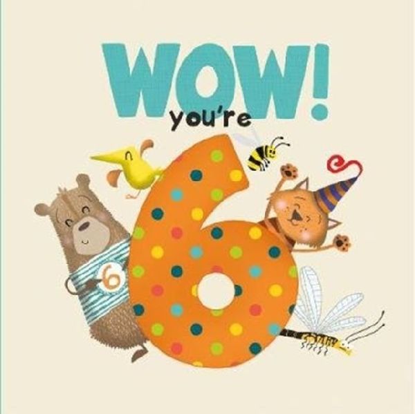 WOW! Youre Six birthday book