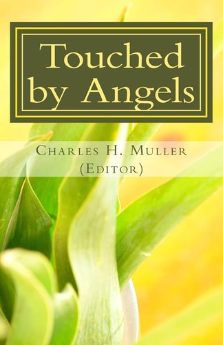 Touched by Angels Testimonies of Christian Power