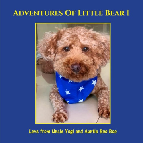 Adventures of Little Bear 1 Book 1