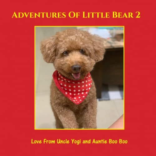 Adventures of Little Bear 2 Book 2