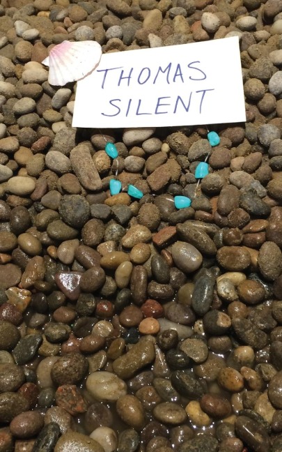 Thomas Silent: or, Why there are no more mermaids