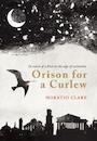 Orison for a Curlew: In Search of a Bird on the Edge of Extinction