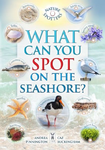 What Can You Spot on the Seashore?