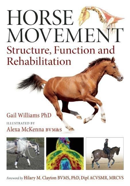 Horse Movement: Structure, Function and Rehabilitation
