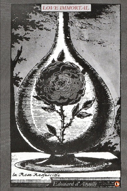 Love Immortal: The Poetry of Love