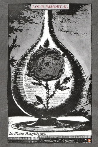 Love Immortal - The Poetry of Love 33 Romantic (and Anti-Romantic) Poems to Bring Hearts Closer, Heal Heartache and Discover Love Eternal Now [10th Anniversary Edition]