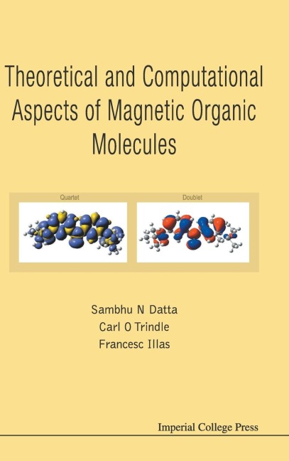 THEREOTICAL AND COMPUTATIONAL ASPECTS OF MAGNETIC ORGANIC ..