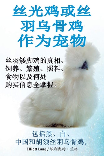 丝光鸡或丝羽乌骨鸡作为宠物. 丝羽矮脚鸡的真相、饲养、繁殖、照料、ཉ