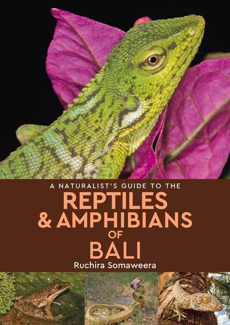 A Naturalists Guide to the Reptiles & Amphibians of Bali