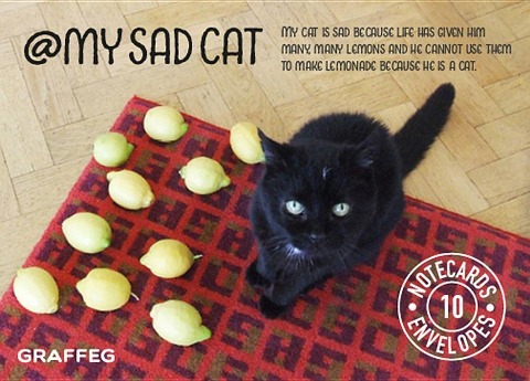 My Sad Cat Notecards: 10 Cards and Envelopes
