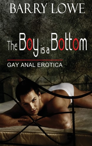The Boy is a Bottom Gay Anal Erotica
