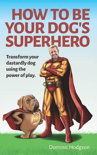 How To Be Your Dog's Superhero Transform Your Dastardly Dog Using the Power of Play