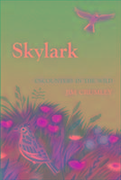 Skylark