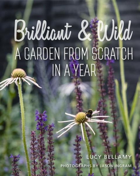 Brilliant and Wild: A Garden from Scratch in a Year