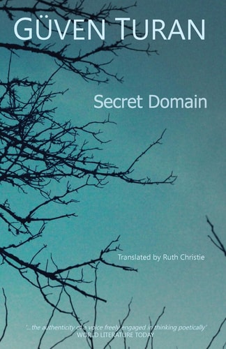 Secret Domain A Poem Sequence
