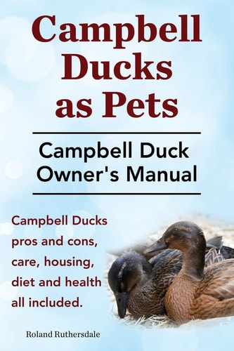 Campbell Ducks As Pets. Campbell Duck Owner's Manual. Campbell Duck Pros and Cons, Care, Housing, Diet and Health All Included