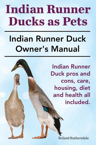 Indian Runner Ducks As Pets. Indian Runner Duck Pros and Cons, Care, Housing, Diet and Health All Included The Indian Runner Duck Owner's Manual
