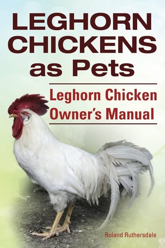 Leghorn Chickens. Leghorn Chickens As Pets. Leghorn Chicken Owner?s Manual