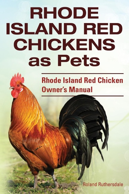 Rhode Island Red Chickens as Pets. Rhode Island Red Chicken Owners Manual
