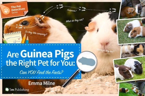 Are Guinea Pigs the Right Pet for You: Can You Find the Facts?