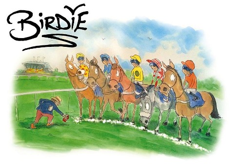 Birdie: The Best of Darren Bird