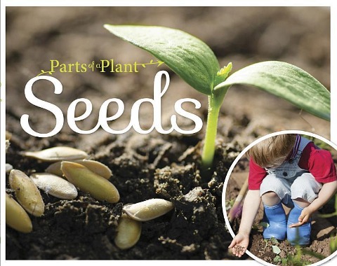 Seeds