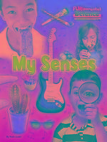 My Senses