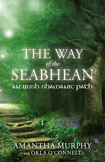 The Way of the Seabhean: An Irish Shamanic Path