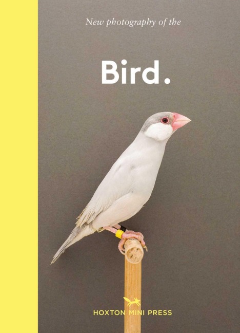 Bird.: The best new photography of birds