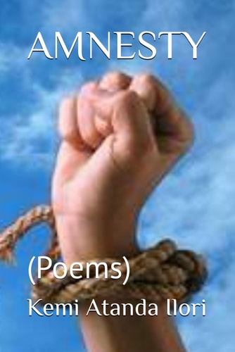 Amnesty (Poems)