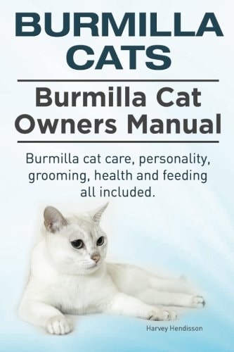 Burmilla Cats. Burmilla Cat Owners Manual. Burmilla Cat Care, Personality, Grooming, Health and Feeding All Included.