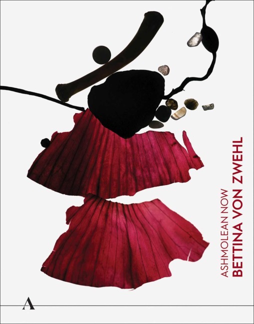 Ashmolean Now: Bettina Von Zwehl