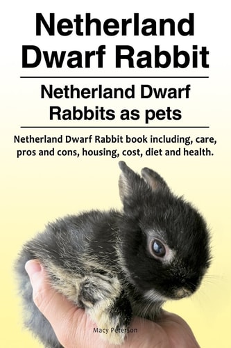 Netherland Dwarf Rabbit. Netherland Dwarf Rabbits as Pets. Netherland Dwarf Rabbit Book Including Pros and Cons, Care, Housing, Cost, Diet and Health.