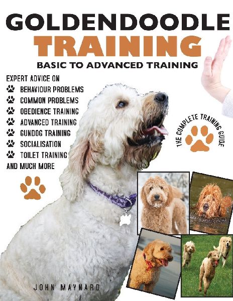 GOLDENDOODLE: THE COMPLETE TRAINING GUIDE 2ND EDITION: