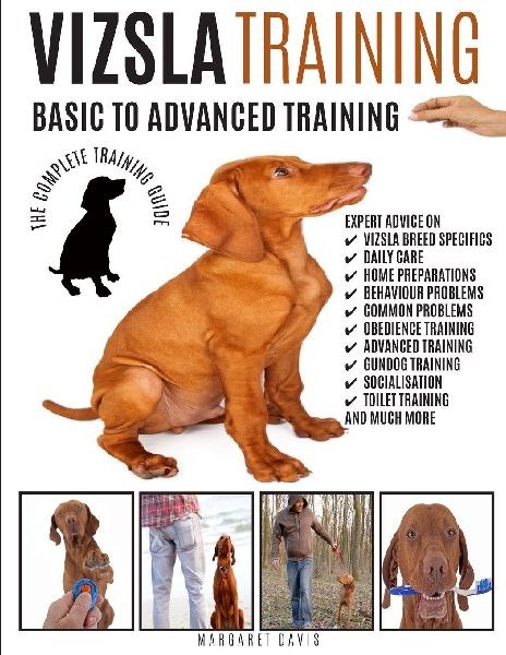 VIZSLA TRAINING
