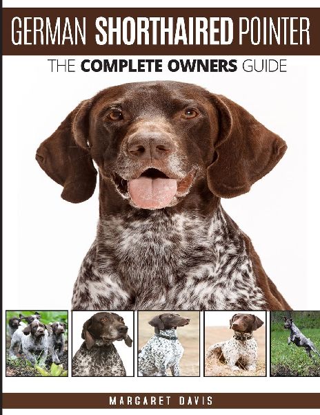 GERMAN SHORTHAIRED POINTER: The Complete Owners Guide