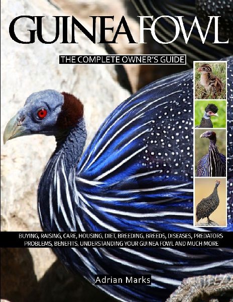 Guinea Fowl: The Complete Owners Guide