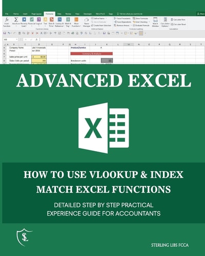 Advanced Excel How to Use Vlookup & Index Match Functions