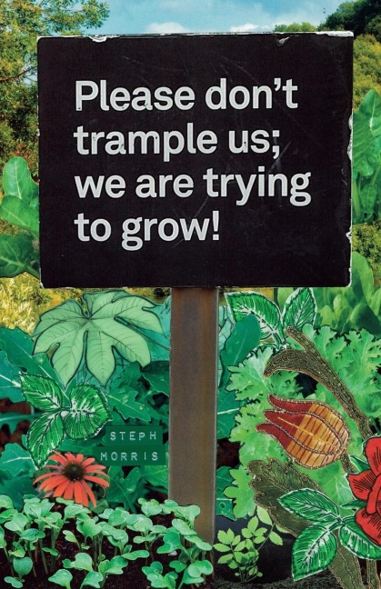 Please dont trample us; we are trying to grow